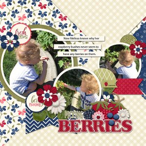 Berry-Sweet-Web
