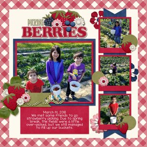 Strawberry Picking