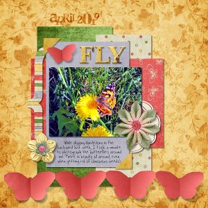 Fly