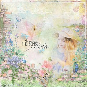 sense of wonder