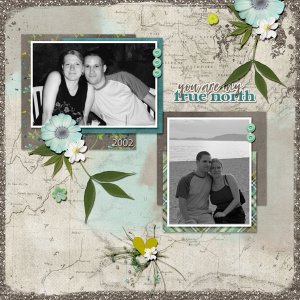 my true north