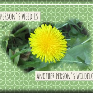 ATC 2019-057 A Weed