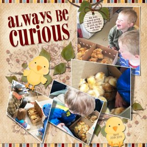 Always be Curious