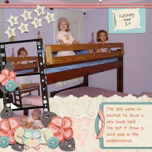New bunk Beds 2009