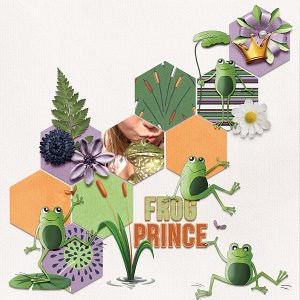 Frog Prince