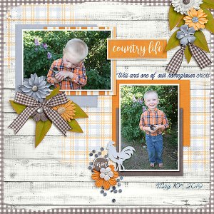 Country Life