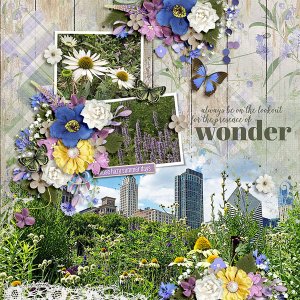 wonder