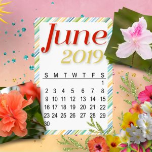 June 2019