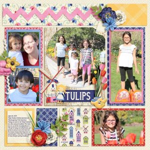 Tulips