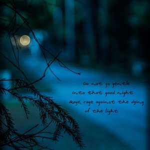 Dying of the Light