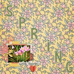 Spring Flowers