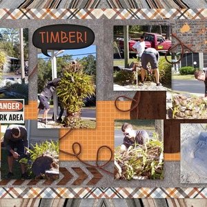 Timber
