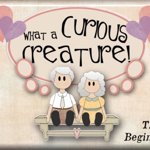 The Beginning?