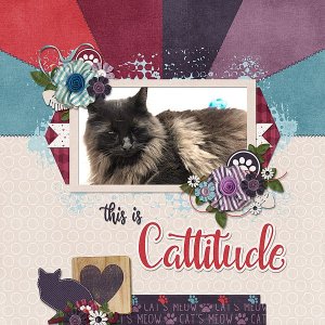 This is Cattitude