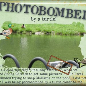 Photobombed