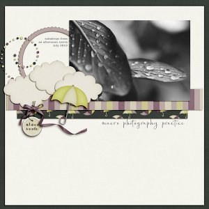 Raindrops