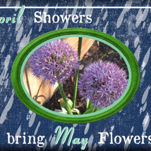 April Showers
