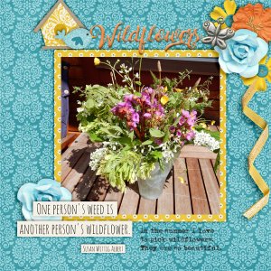 Wildflowers8