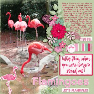 Flamingoes Let's Flamingle!