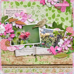 Fantastic Spring
