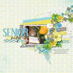 Senior Night