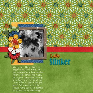 Little Stinker