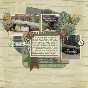 Sequoa-web