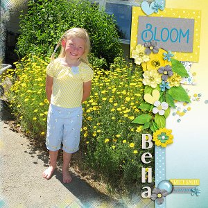 Bloom