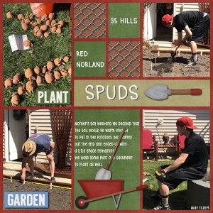 SPUDS