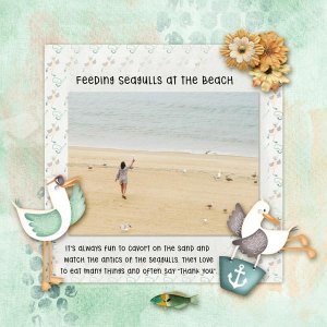 Feeding Seagulls