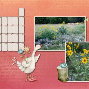 June Calendar