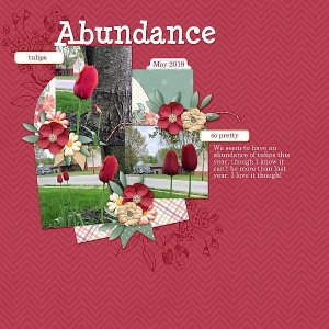 Abundance