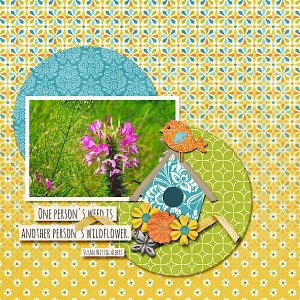 Connie Prince May 2019 Mini Kit