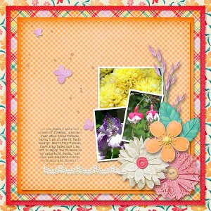 May Flowers