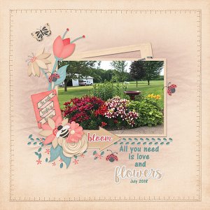 Flowers