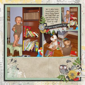 Book Sorting