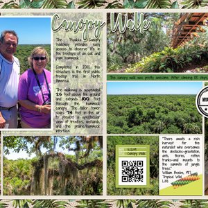 Myakka River State Park Canopy Walk