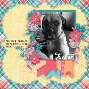 Tucker