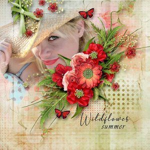 Wildflower Summer