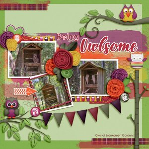 Being Owlsome