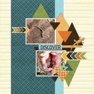 Discover