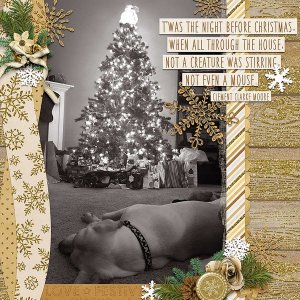 ~Twas the Night Before Christmas~