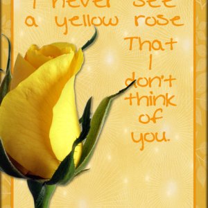 ATC 2019-067 Yellow Rose