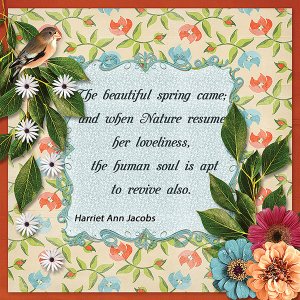 When Spring Comes