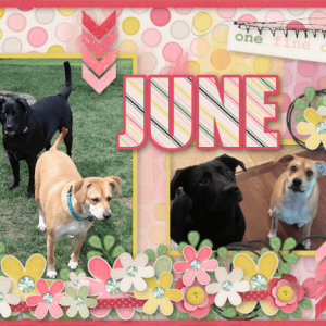 Desktop Challenge June 2019