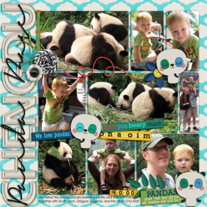 Chengdu Panda Reserve