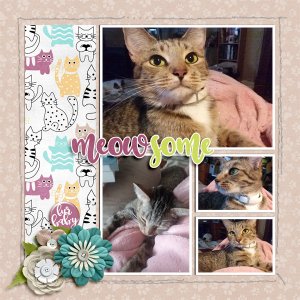 Meowsome