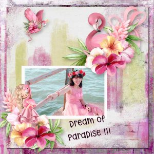 Dreams Of Paradise