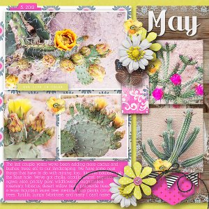 May Blooms right