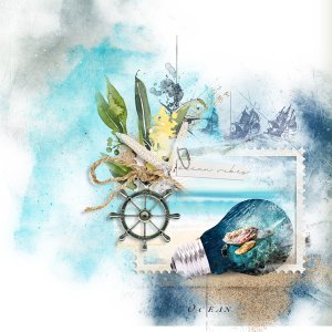 Ocean Vibes